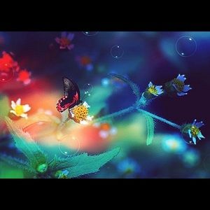 Meet your Posher, Lahonda